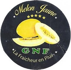gnf melon jaune la fraicheur en plus