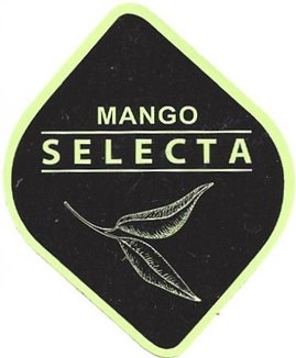 selecta mango