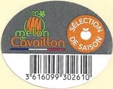 melon de cavaillon selection de saison 3616099302610