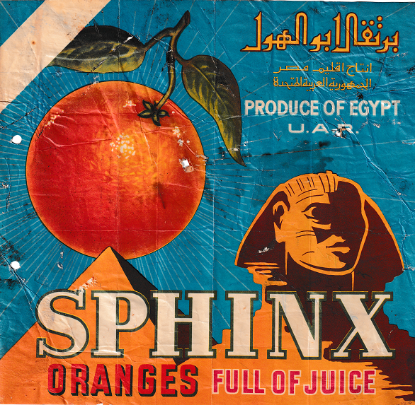 sphinx oranges full of juice product of egypt