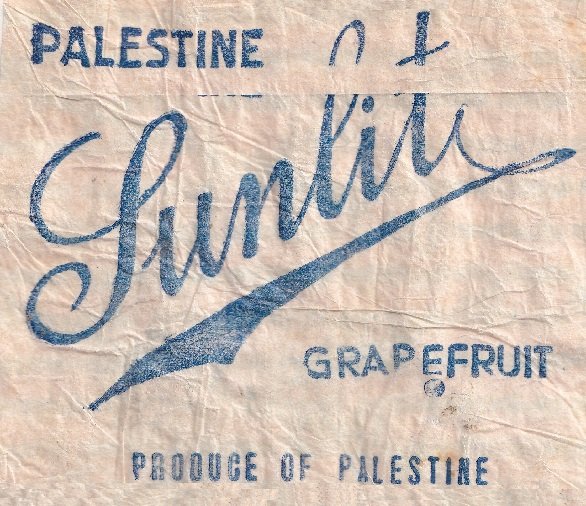 Sunlit grapefruit produce of palestine