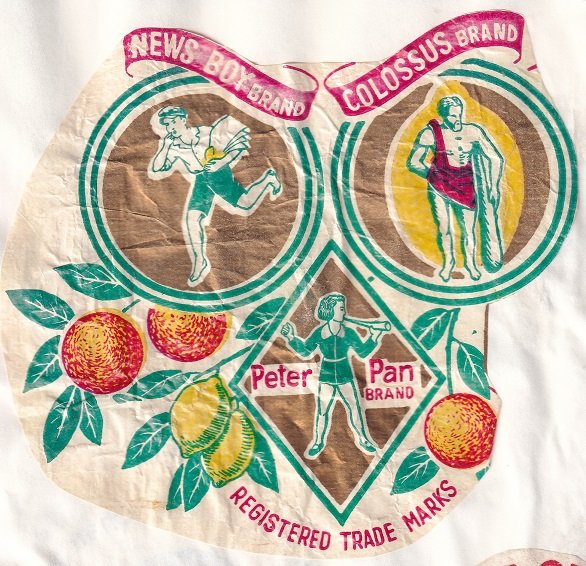 peter pan brand news boy brand colossus brand