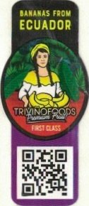 Trivinofoods bananas from ecuador premium fruit first class