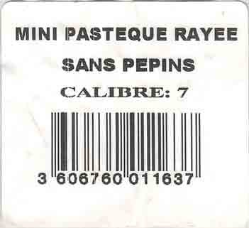 mini pasteque rayee sans pepins calibre: 7 3606760011637