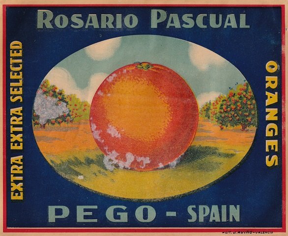 Rosario pascual pego spain