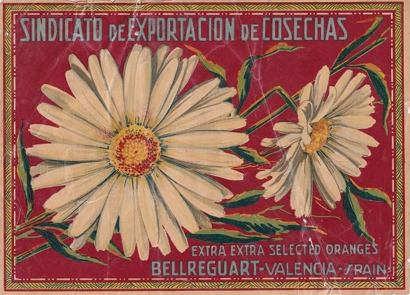 Sindicato de exportacion de cosechas bellreguart valencia spain