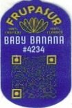 Frupasur 100% tropical 100% ecuador baby banana #4234