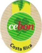 Cebon costa rica