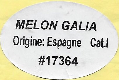 Melon galia origine espagne cat1 #17364