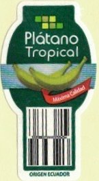Platano Tropical maxima calidad origen ecuador