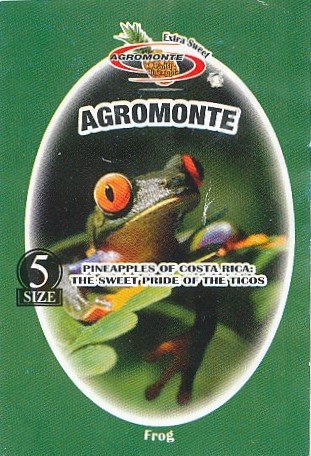 Agromonte 5 size gold pineapple extra sweet pineapples of costa rica: the sweet pride of the ticos rainforest alliance certified frog 7443005940026