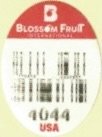 Blossom Fruit International 4044 usa