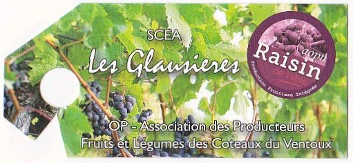 les glausieres scea aopn raisin de table op association des producteurs fruits et legumes des coteaux du ventoux