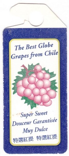 The best globe grapes from chile super sweet