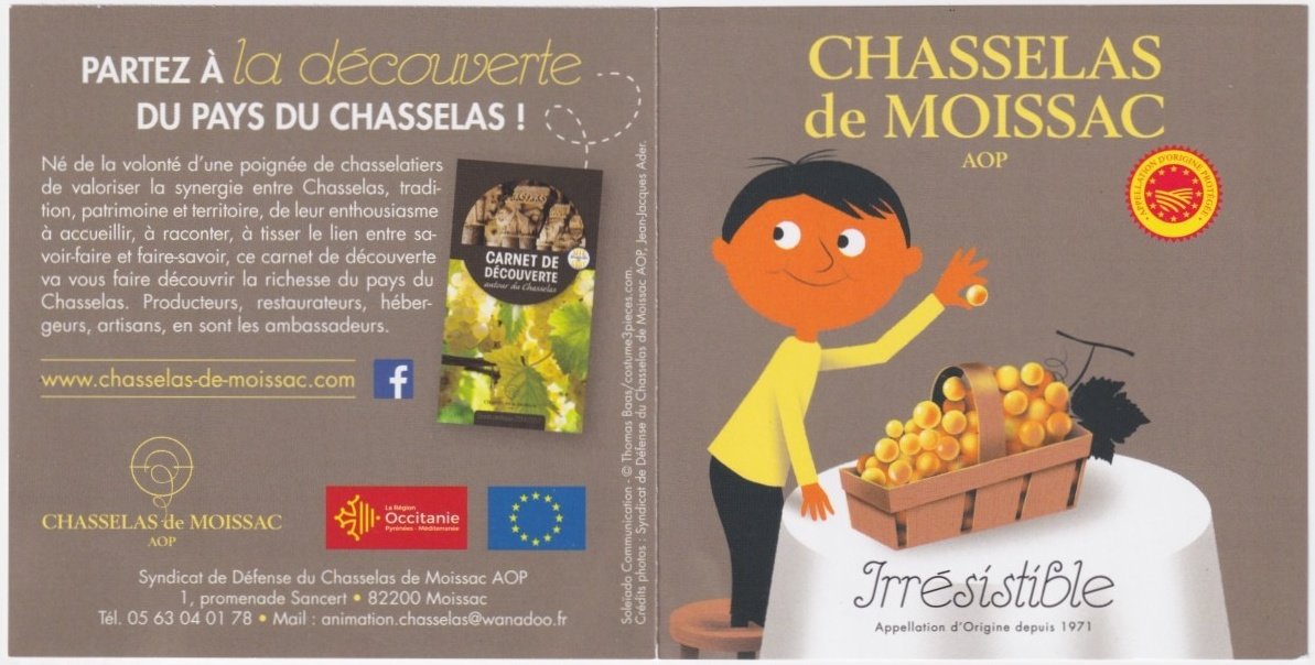 Chasselas de moissac aop irresistible