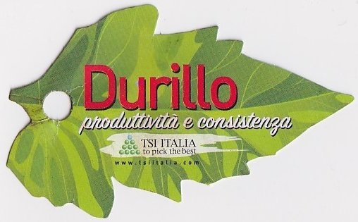 Durillo produttivita e consistenza tsi italia www.tsiitalia.com