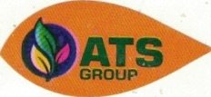 ATS Group