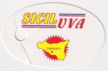 Sicil uva canicatti