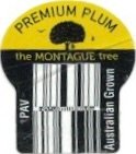 The montegue Tree premium plum pav australian grown