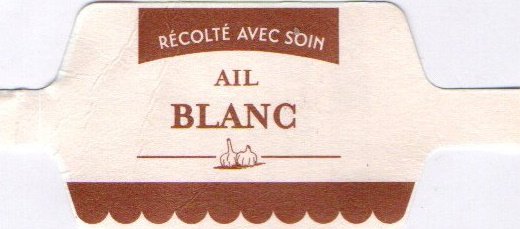 ail blanc recolte avec soin