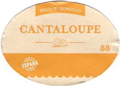 dulce y aromatico cantaloupe 88 origen espana
