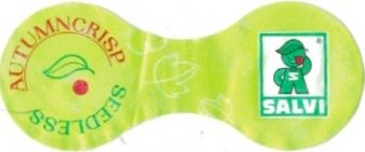 Salvi autumncrisp seedless