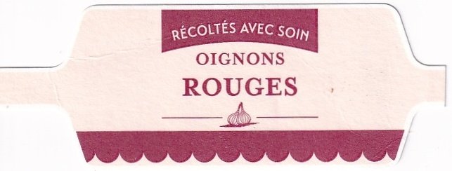 Recoltes avec soin oignons rouges
