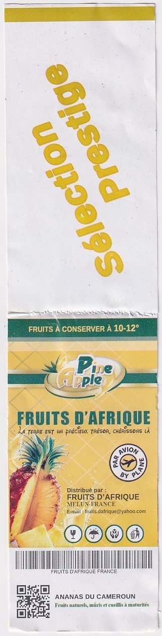 Fruits d afrique pine apple la terre est un precieux tresor cherissons la par avion ananas du cameroun selection prestige