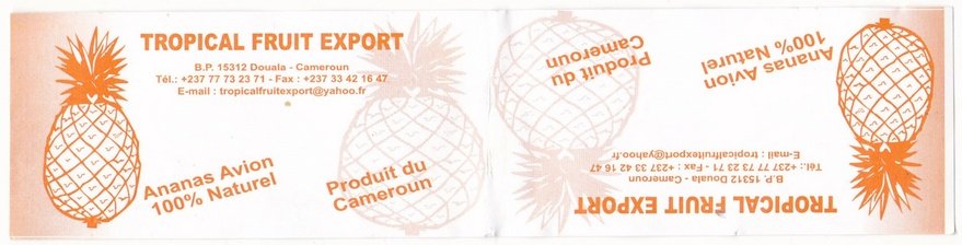 Tropical fruit export 15312 douala cameroun ananas avion produit du cameroun