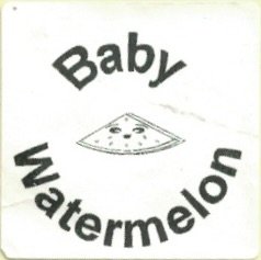 Baby watermelon