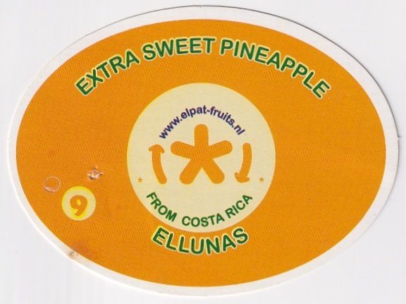Ellunas extrasweet pineapple from costa rica 9 www.elpat-fruits.nl 7441029612172