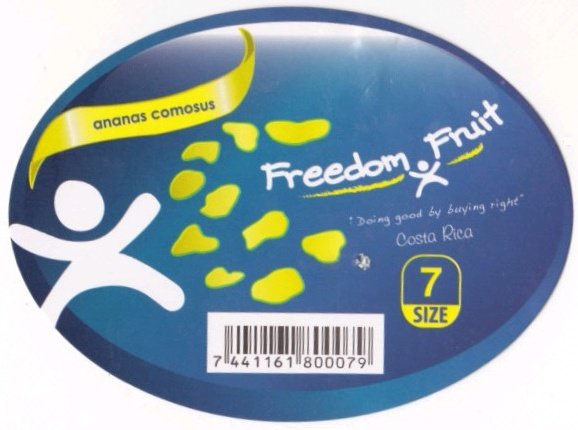 Freedom fruit ananas comosus costa rica 7 size 7441161800079