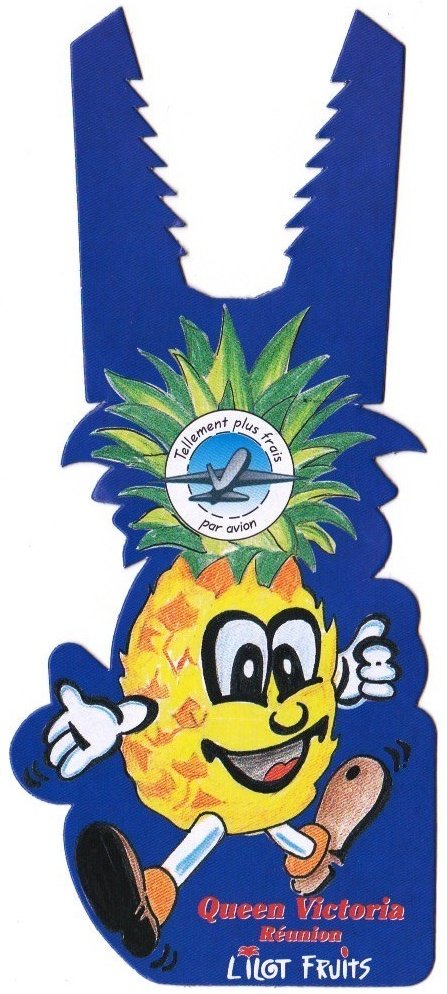 Lilot fruits queen victoria reunion tellement plus frais par avion recette mini clafoutis a l ananas