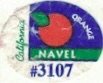 Orange california navel #3107