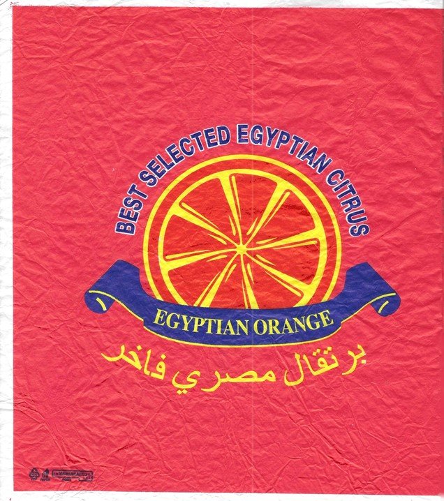 egyptian orange best selected egytian citrus