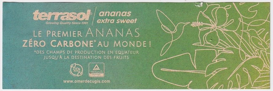 Terrasol growing quality since 1961 ananas extra sweet 9 le premier ananas zero carbon au monde fruit from ecuador 7861157600221