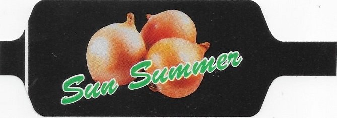 Sun summer cebollas amarillas origen espana 800g 8422151005369