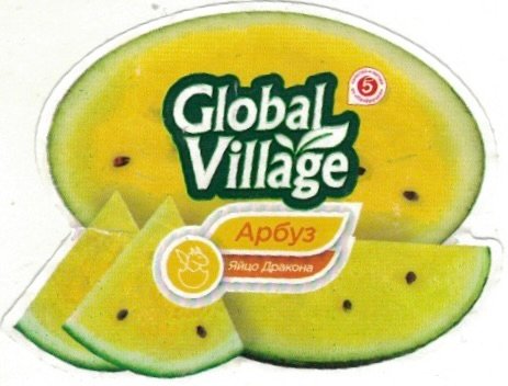 Global Village