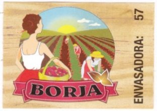 Borja envasadora: 57