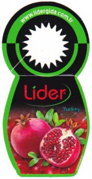 Lider www.lidergida.com.tr turkey