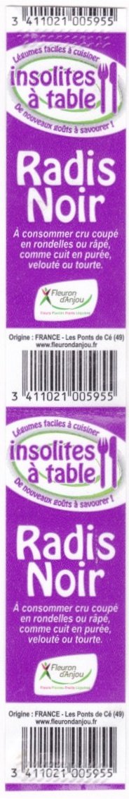Insolites à table radis noir fleuron d anjou 3411021005955 origine france les ponts de cé www.fleurondanjou.fr