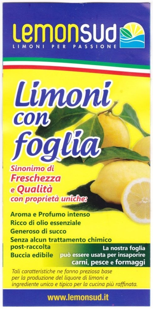 Lemon sud naturalmente sano merluzzo al limone