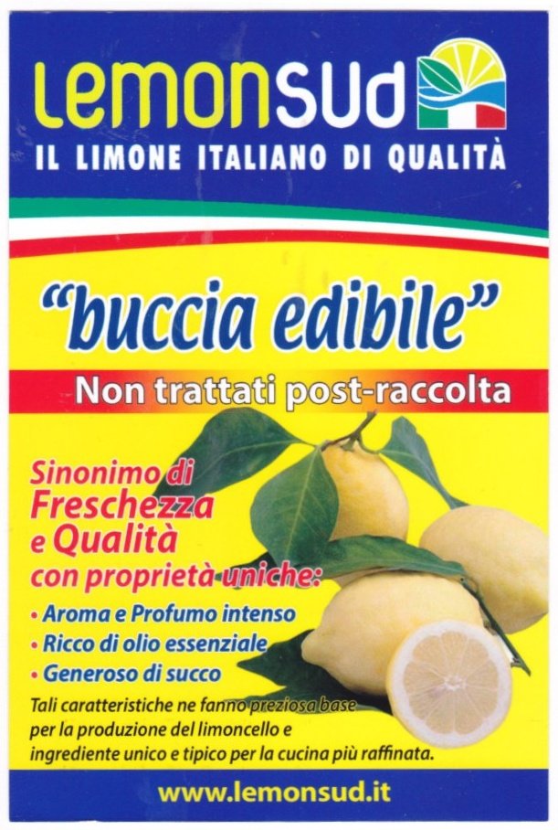 Lemon sud il limone italiano di qualita buccia edibile
