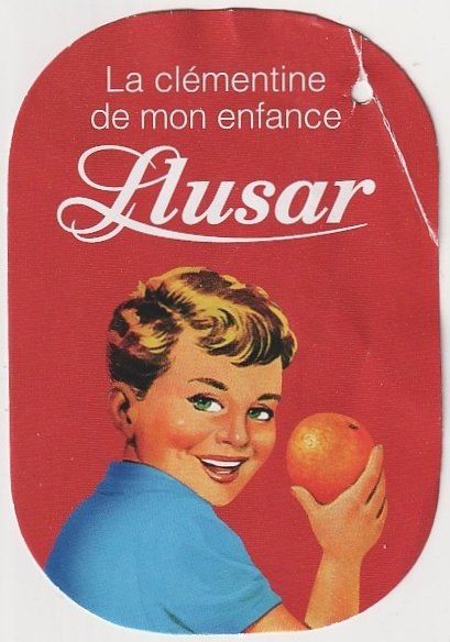 Llusar la clementine de mon enfance origine espagne 8414996001965