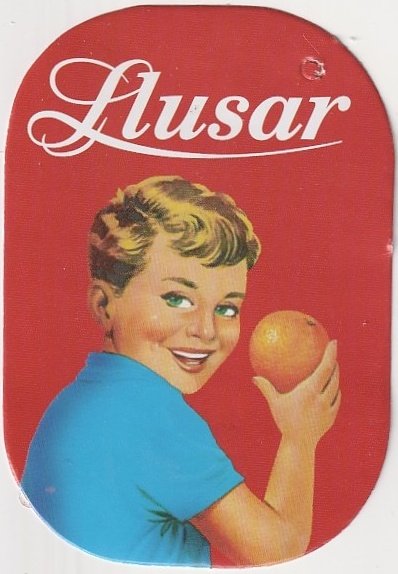 Llusar clementines llusar selection 8414996001965