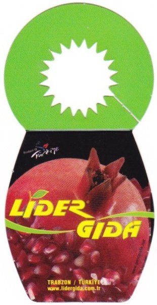 Lidergida www.lidergida.com.tr trabzon turkiye