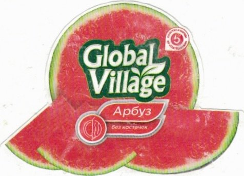Global Village