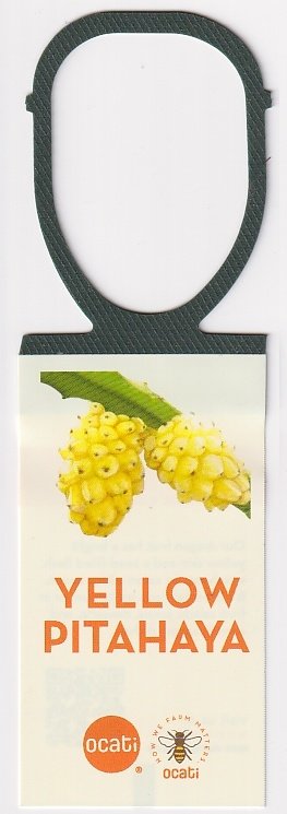 Ocati yellow pitahaya product of columbia