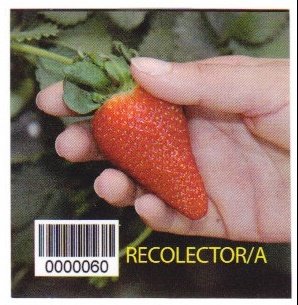 Recolector/a 0000060 nous mettons la qualite de notre produit dans vos mains conocenos en : www.guaperal.com
