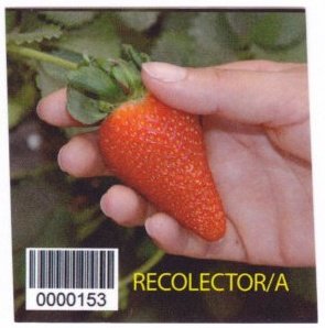 Recolector/a 0000153 nous mettons la qualite de notre produit dans vos mains conocenos en : www.guaperal.com